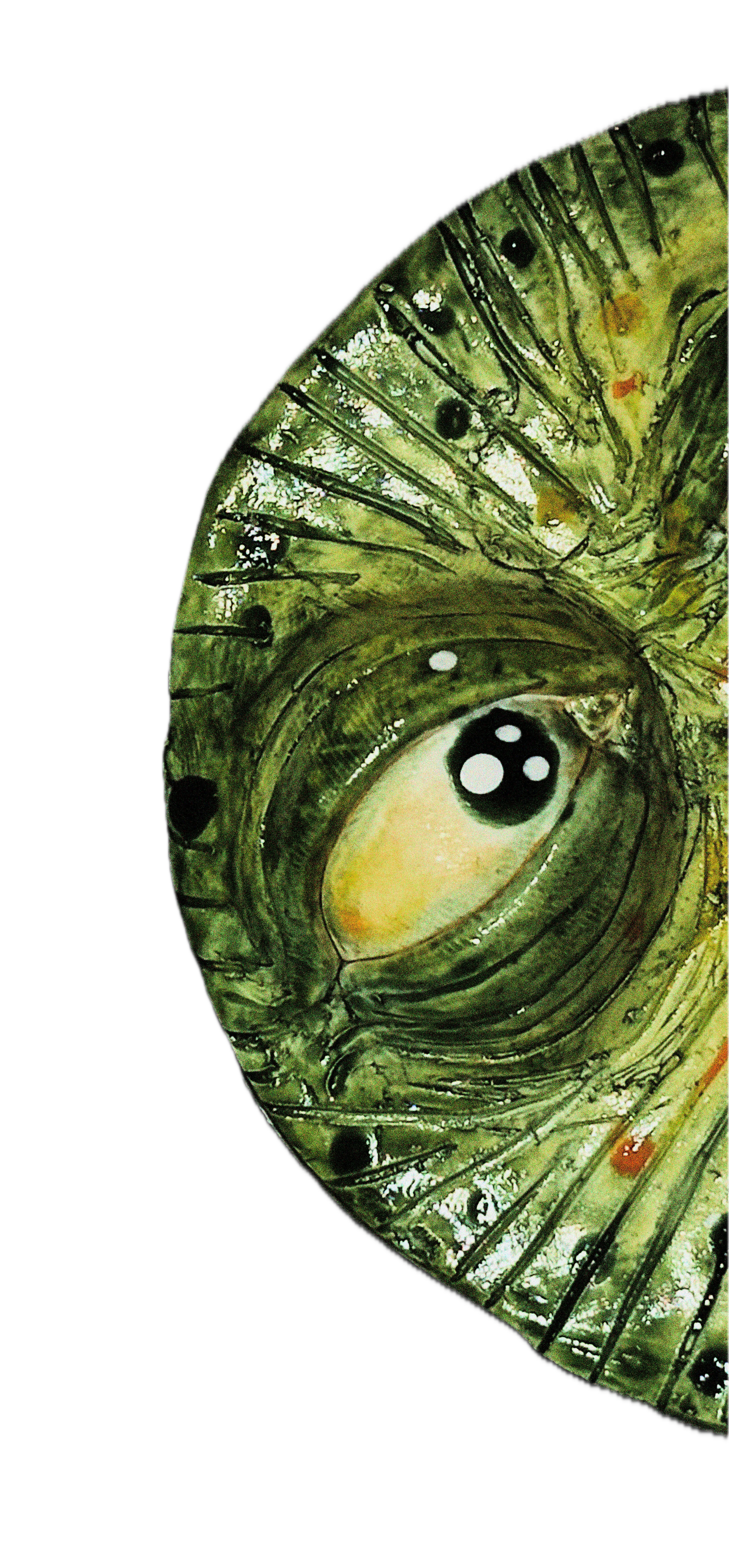 Chimaera eye
